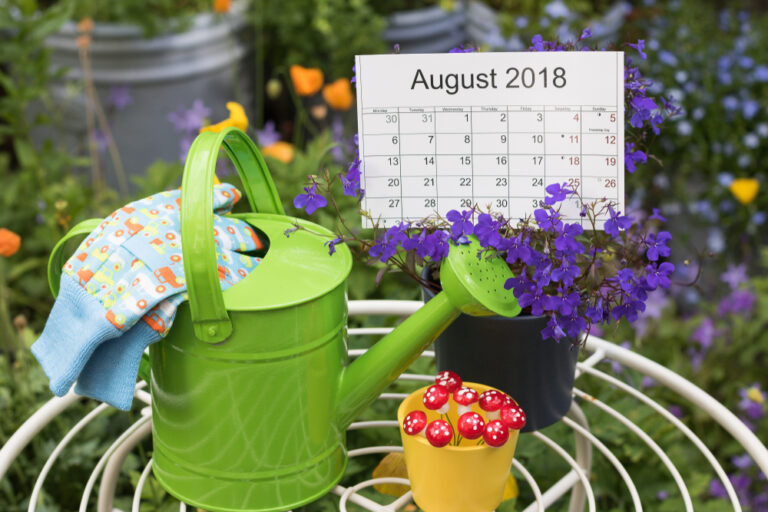 talking-gardening-with-doug-august-gardening-chores-the-great-big-greenhouse-gardening-blog