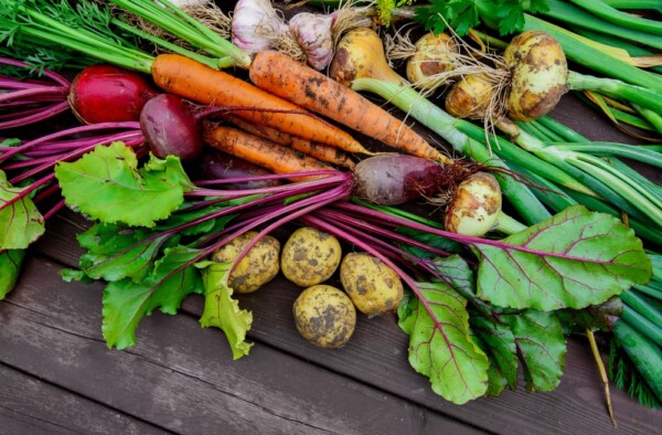 How To Prepare Your Veggie Garden For Fall - The Great Big Greenhouse ...