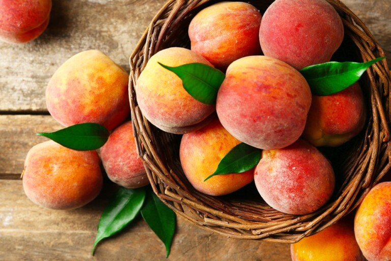 National Peach Month - The Great Big Greenhouse Gardening Blog