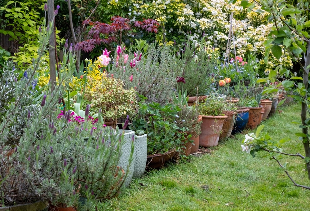 What's your gardening style?