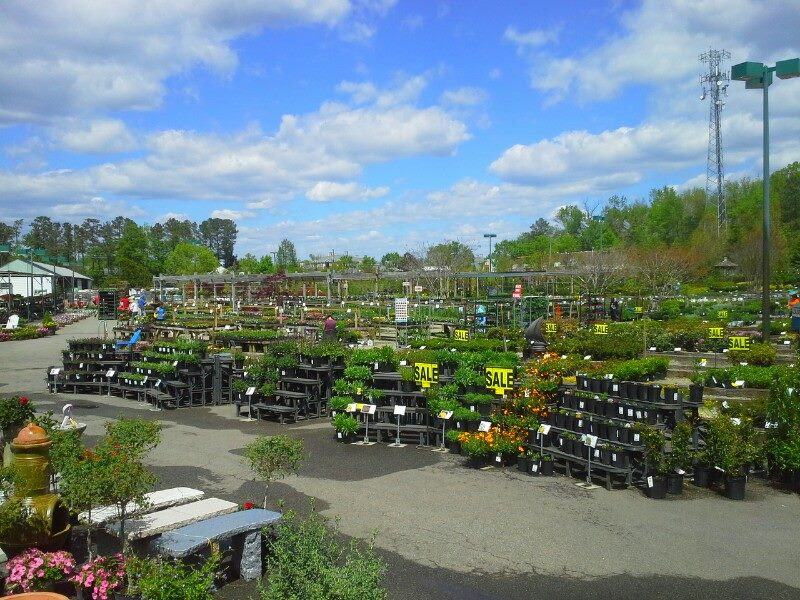 great-big-greenhouse-best-garden-center-in-richmond-va