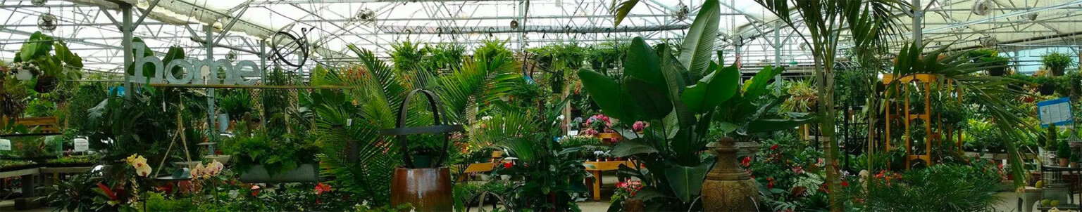 great-big-greenhouse-best-garden-center-in-richmond-va