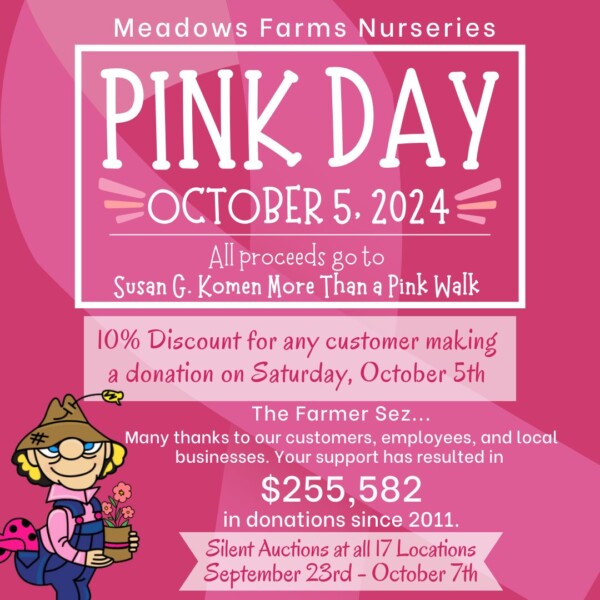 Pink day 2024