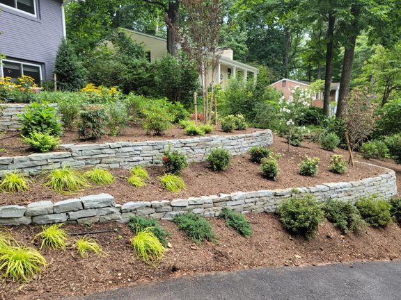 Landscape Project of the Month, DC Metro Area | August 2022