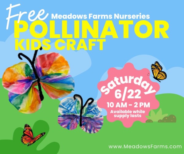 FREE Pollinator Kids' Craft Saturday 6/22