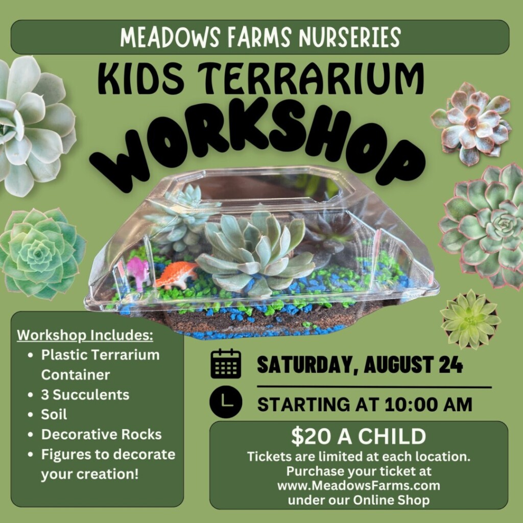 Kids Terrarium Workshop