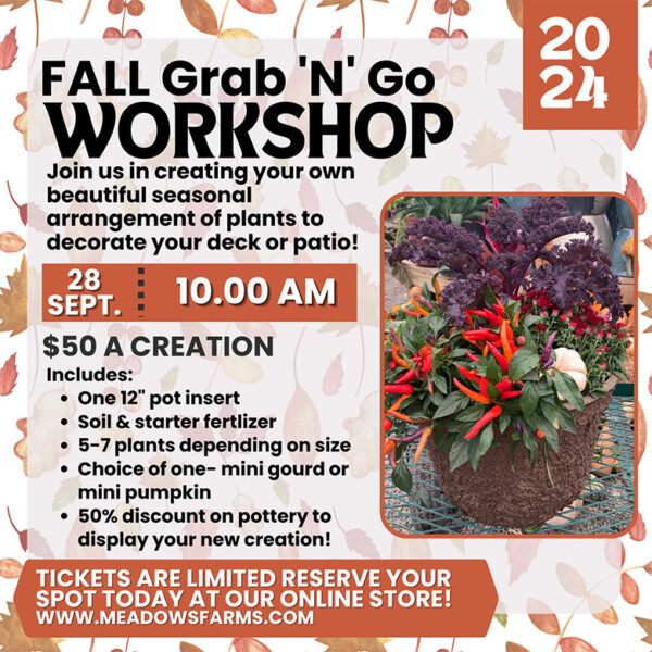 Fall Grab N Go Workshop