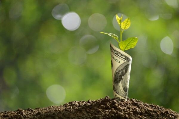 A plant seedling sprouting through a $100 bill