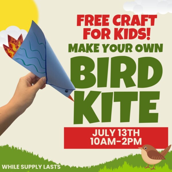 Free Craft for Kids! Make Your Own Bird Kite July 13th 10AM - 2PM. While supplies last.