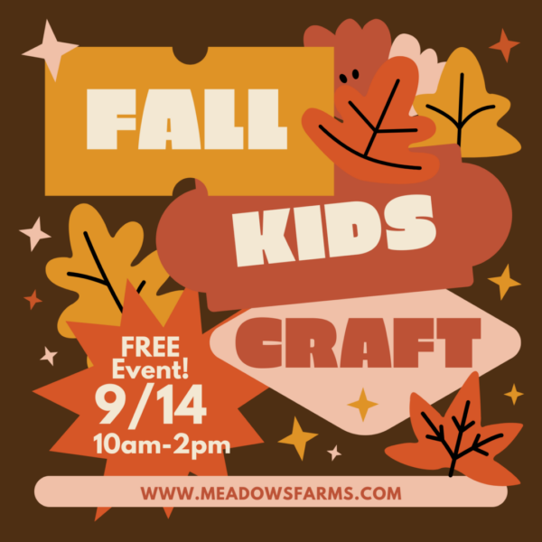 Fall Kids Craft