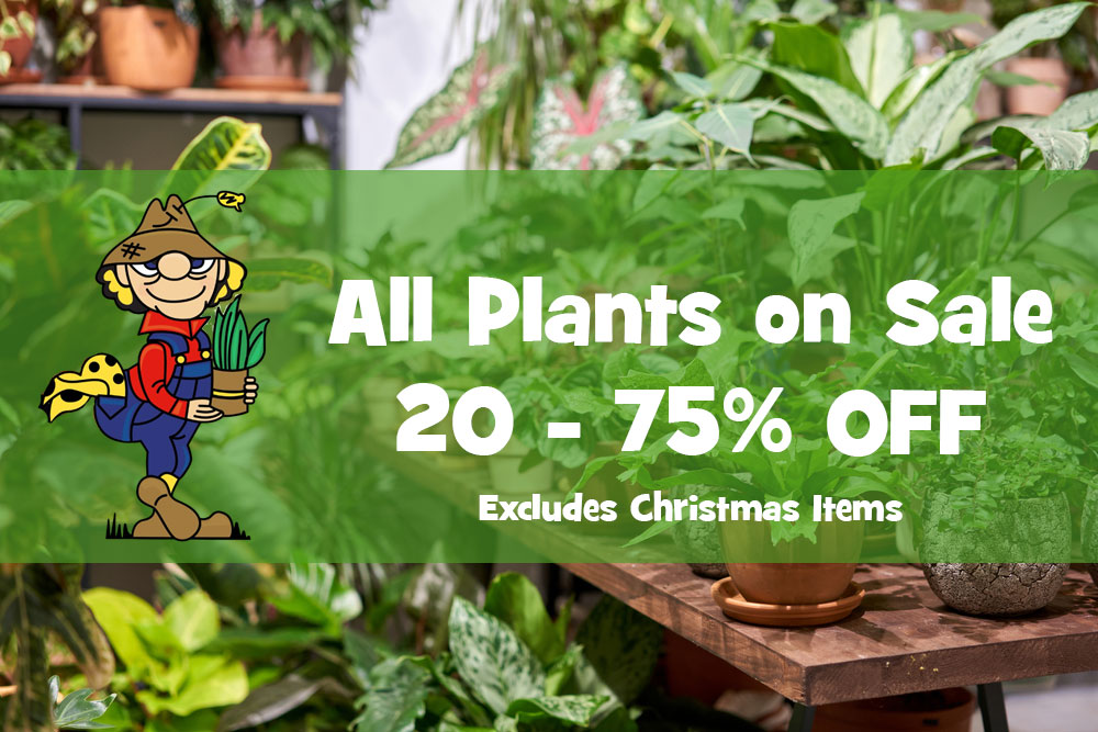 All Plants on Sale 20-75% OFF