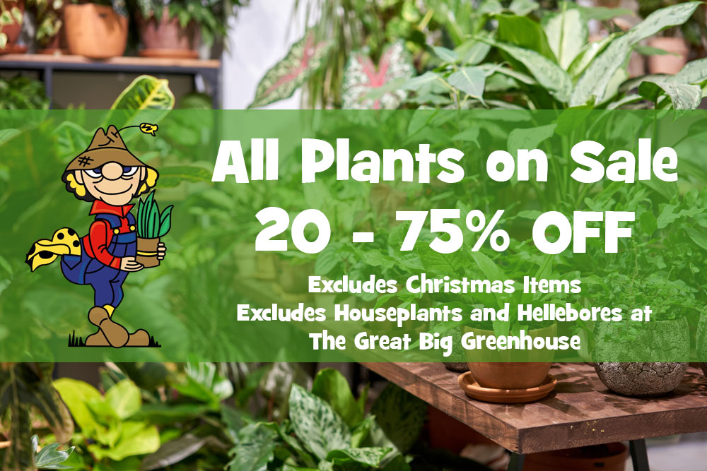 All Plants on Sale 20-75% OFF