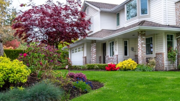 Front landscape with a Japanese maple and various other plants